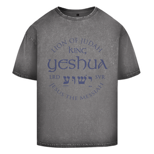 Oversize Washed T-Shirt lion of judah
