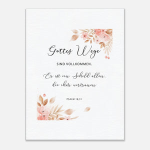 2e73f9ef-e1e7-48a9-b749-01c47bad4a07