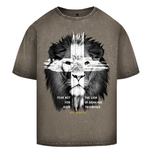 Oversize Washed T-Shirt fear not for jesus revelation 5:5