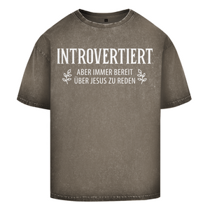 Oversize Washed T-Shirt introvertiert