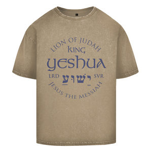 Oversize Washed T-Shirt lion of judah