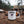 Emaille Tasse chosen schaf 1 peter 2:9