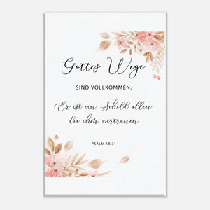 a087e31c-d4d0-42a8-8355-62e579450992