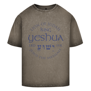 Oversize Washed T-Shirt lion of judah