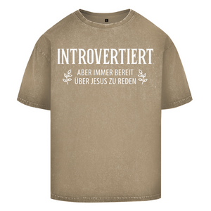 Oversize Washed T-Shirt introvertiert