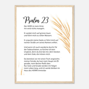 dc18a13a-ed58-4c8e-ae87-256b6baa20b9