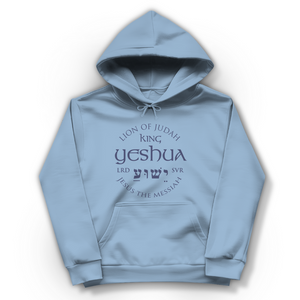 Damen Hoodie lion of judah