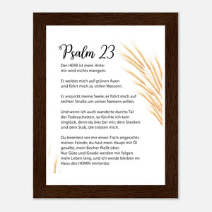 fd2d47f3-7c7e-4547-a5af-5e20cce2571e